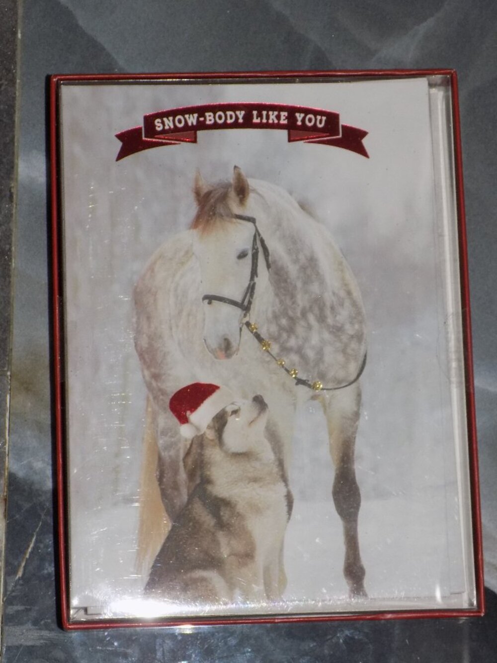 Snow-Body Like You Husky/Horse Christmas Cards Set Of 12 NEW